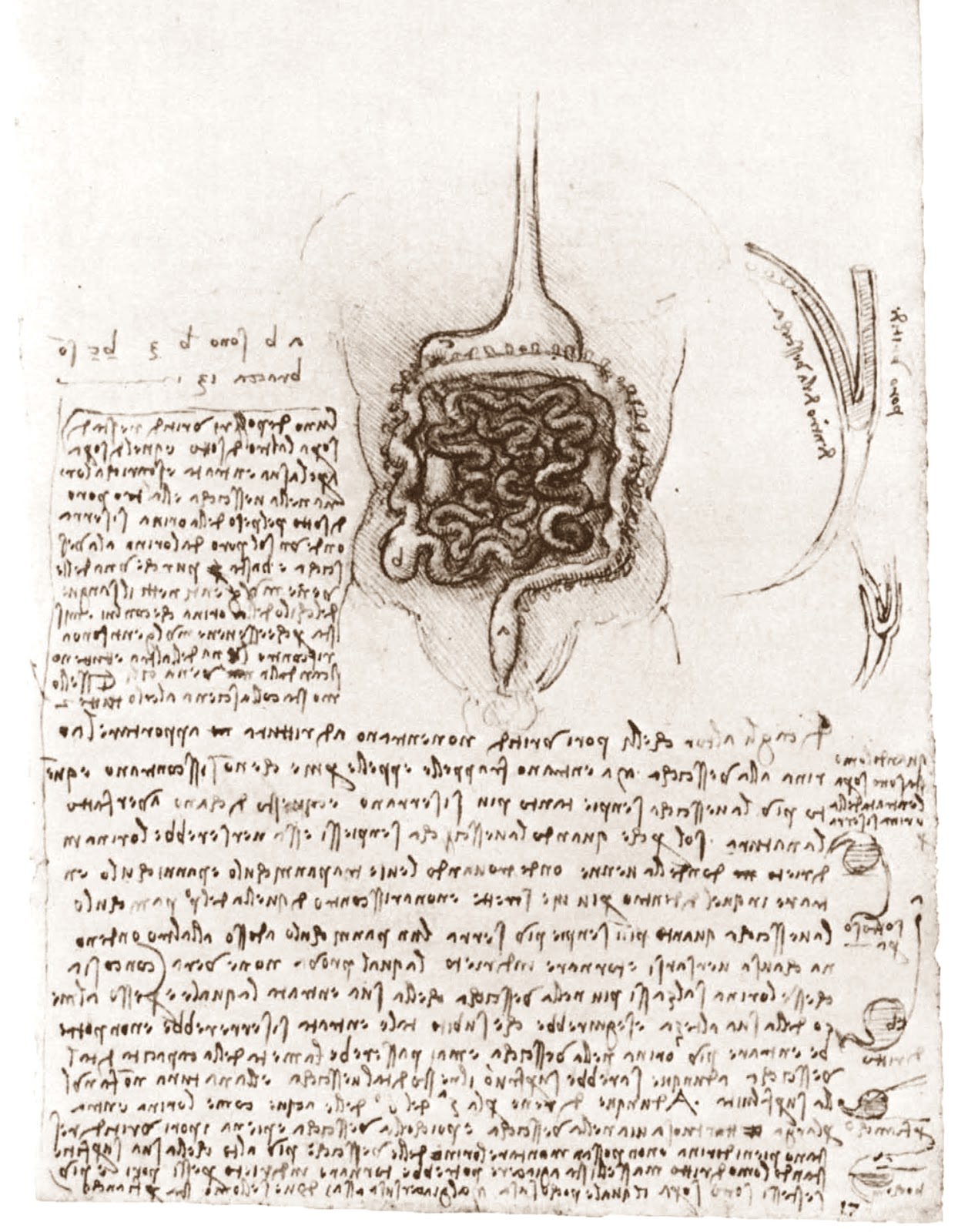 Leonardo+da+Vinci-1452-1519 (766).jpg